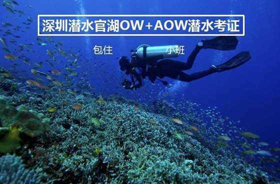 《无畏契约》王国币刷取方法